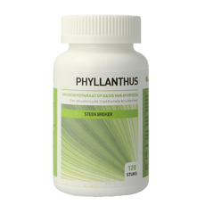Ayurveda Health Phyllanthus niruri 120.00 Tabletten