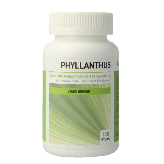 Ayurveda Health Phyllanthus niruri 120 Tabletten