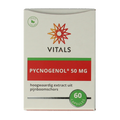 Vitals Pycnogenol 60.00 Capsules