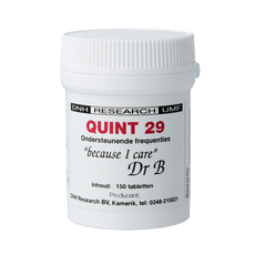 DNH Quint 29 150.00 Tabletten