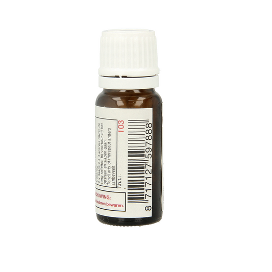 DNH Zywut 200.00 Stuks