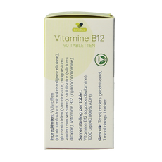 Spruyt Hillen Vitamine B12 1000 mcg 90.00 Tabletten