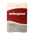 Masqueliers Anthogenol 60 Capsules