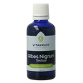 Vitakruid Ribes Nigrum Zwarte bes tinctuur 1:10 50 Milliliter