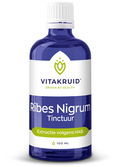 Vitakruid Ribes Nigrum Zwarte bes tinctuur 1:10 100.00 Milliliter