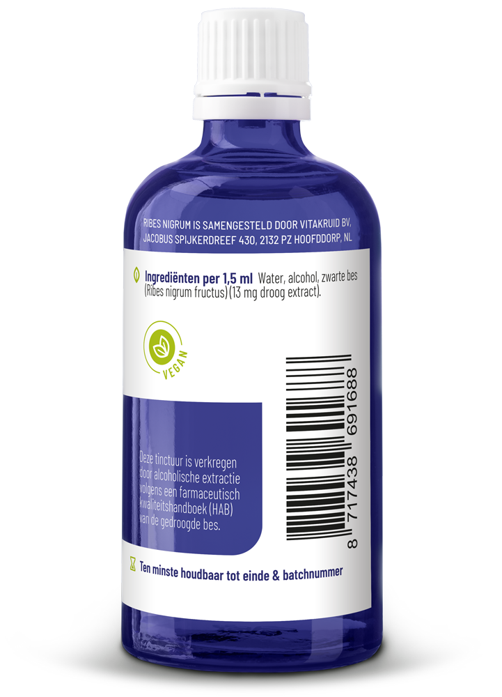 Vitakruid Ribes Nigrum Zwarte bes tinctuur 1:10 100 Milliliter