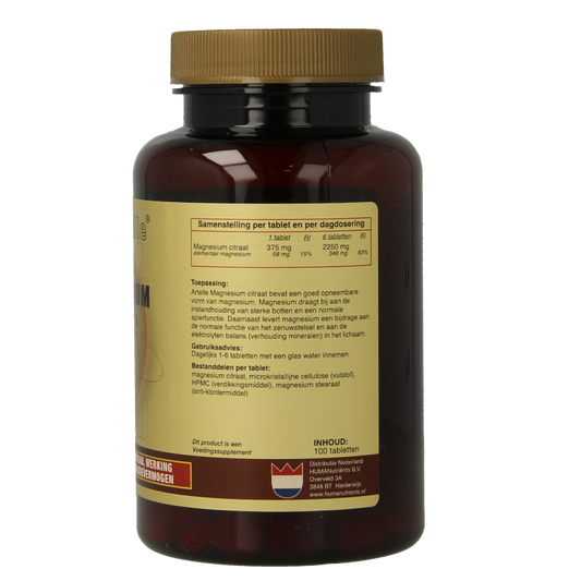 Artelle Magnesium basic 100 Tabletten