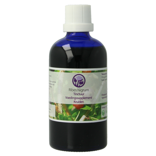 Nagel Ribes nigrum tinctuur 100 Milliliter