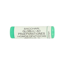 Homeoden Heel Saccharum officinalis/placebo globulen 1.00 Gram