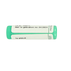 Homeoden Heel Saccharum officinalis/placebo globulen 1.00 Gram