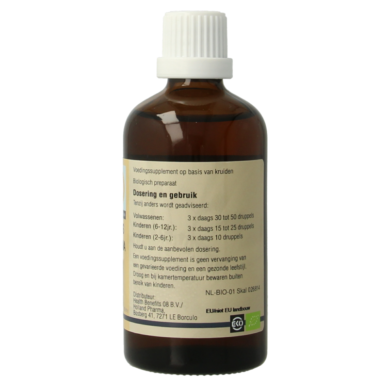 GO Corylus avellana 100 Milliliter
