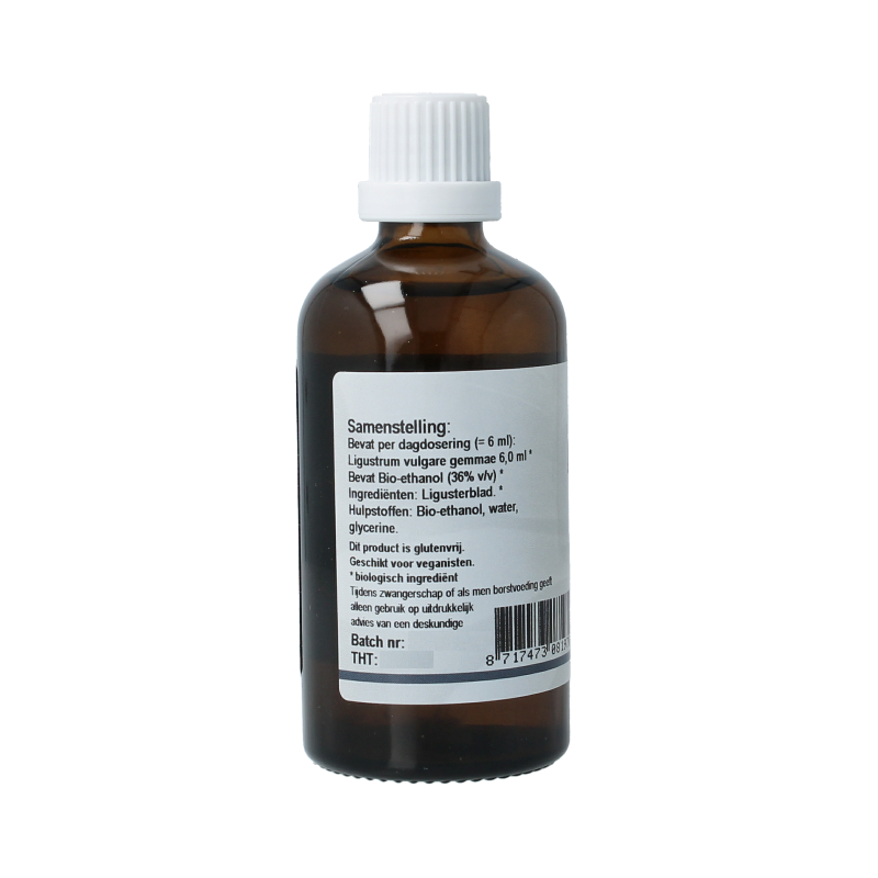 GO Ligustrum vulgare 100 Milliliter