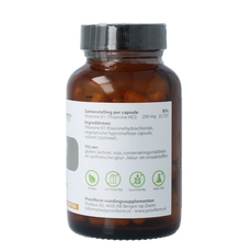 Proviform Vitamine B1 thiamine 250mg 100.00 Vegetarische capsules