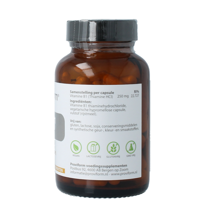 Proviform Vitamine B1 thiamine 250mg 100.00 Vegetarische capsules