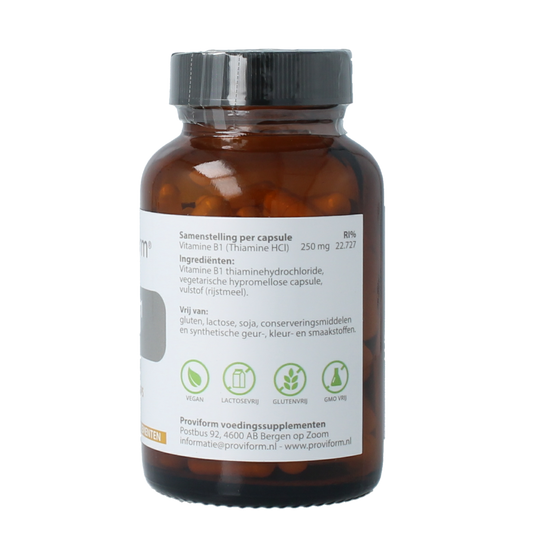 Proviform Vitamine B1 thiamine 250mg 100.00 Vegetarische capsules