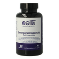 CellCare Zwangerschapsmulti 60 Capsules