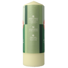 Bolsius Stompkaars 200/68 soft pearl 1 Stuks