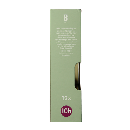 Bolsius Maxi lichten 10uur wit met gouden cup 12.00 Stuks