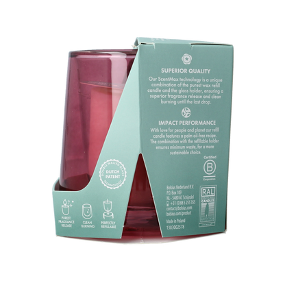 Bolsius Clean light startkit cedarwood & vetiver 1.00 Stuks