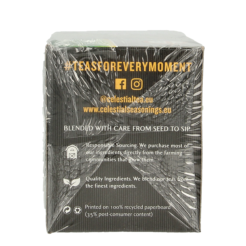 Hari Tea Jasmine tea & ginger within & without bio 10 Stuks