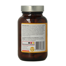 Hanoju Gember & kurkuma extract 90 Vegetarische capsules