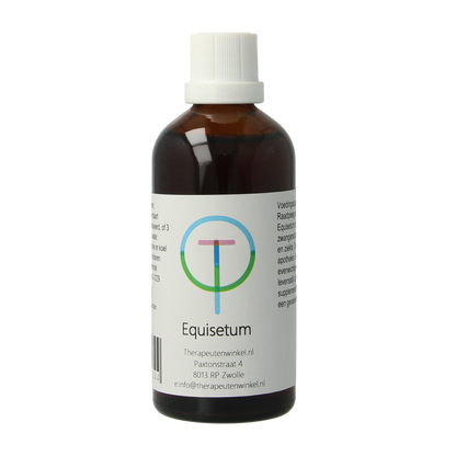 Therapeutenwinkel Equisetum 100.00 Milliliter