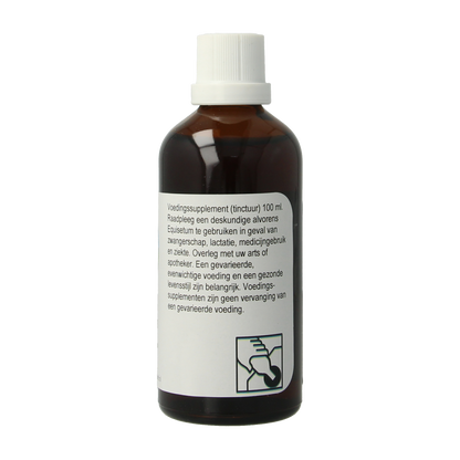 Therapeutenwinkel Equisetum 100.00 Milliliter