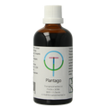 Therapeutenwinkel Plantago lanceolata 100.00 Milliliter