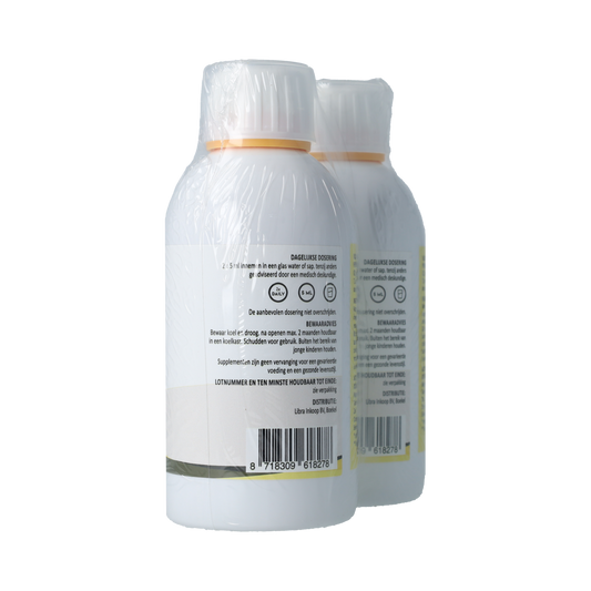Silidyn Liposomal Magnesium Compl 250ml AKTIE 1+1 gratis 500.00 Milliliter