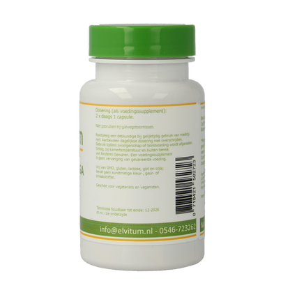 Elvitum  Curcuma longa curqfen 60.00 Capsules