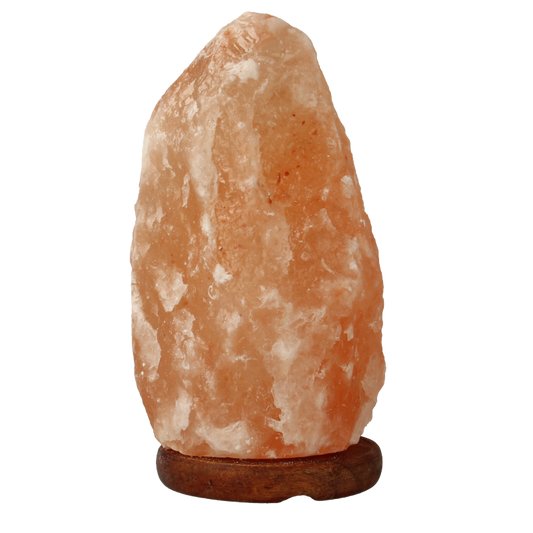 Ruben Robijn Zoutsteenlamp 2-3kg 1 Stuks