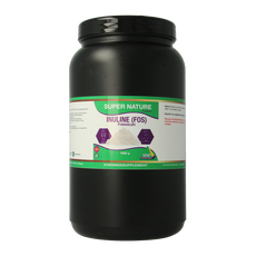 SNP Prebioticum inuline FOS 1.00 Kilogram