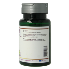 SNP IJzer 45mg TR 60.00 Capsules