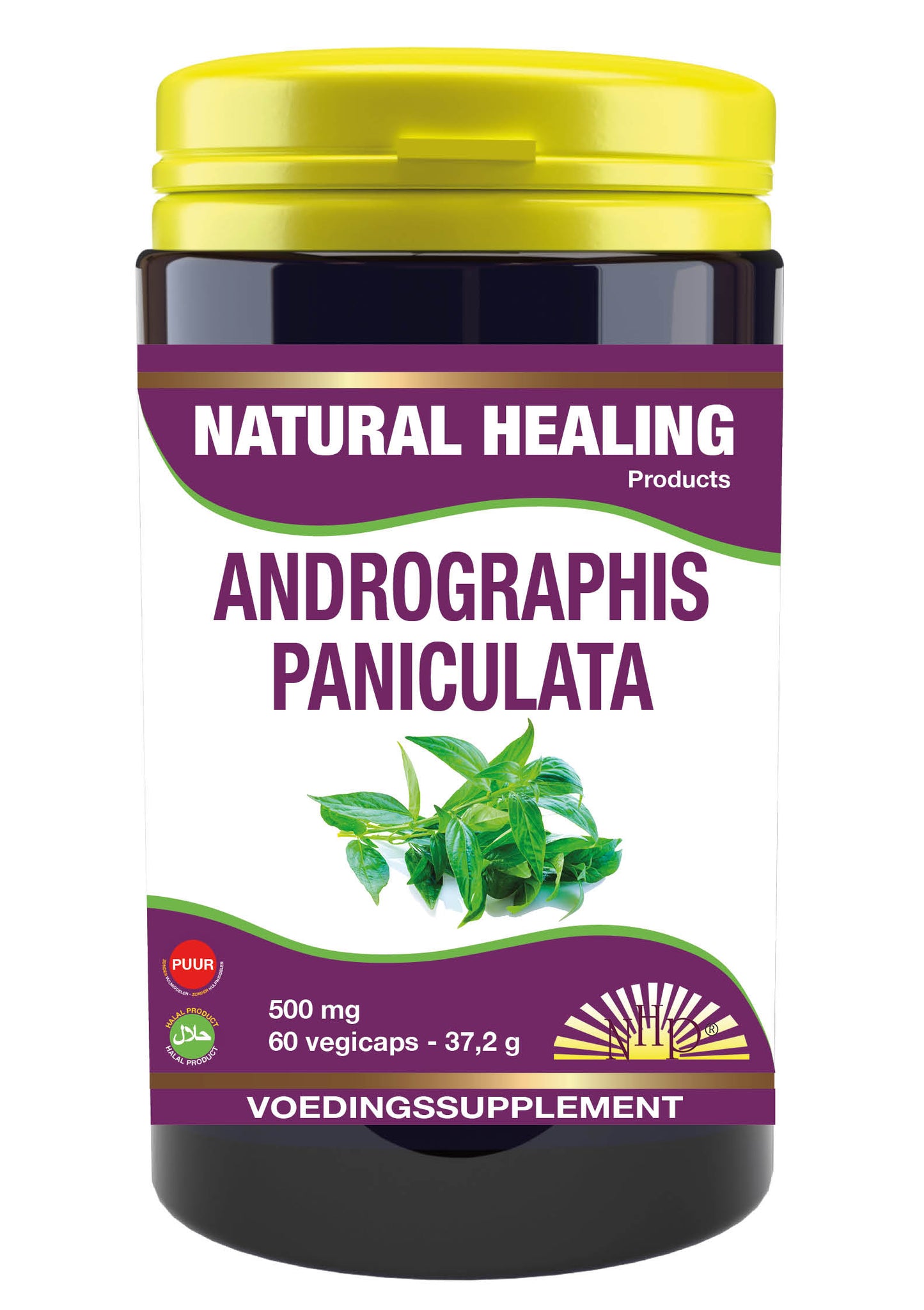 NHP Andrographis paniculata 500mg puur 60 Vegetarische capsules