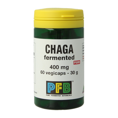 SNP Chaga fermented 400 mg puur 60.00 Vegetarische capsules
