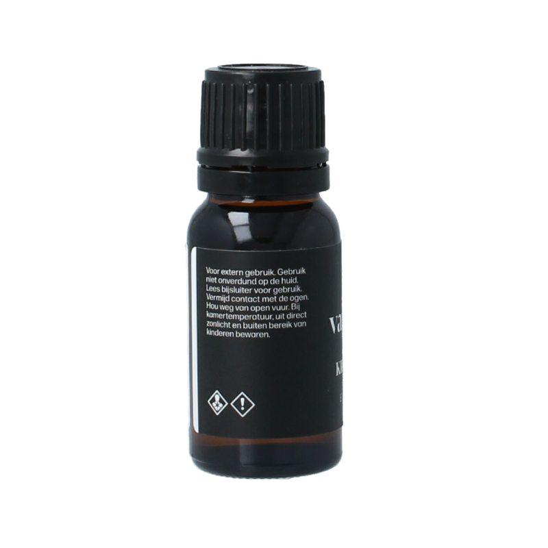 Van Toen Kruidnagel bio 10 Milliliter