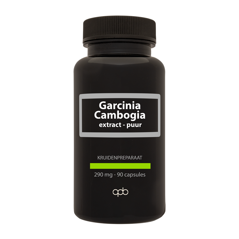 APB Holland Garcinia cambogia puur 290mg 90 Vegetarische capsules