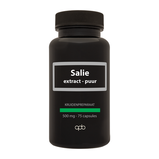 APB Holland Salie extract puur 500mg 75.00 Capsules