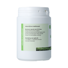 Natuurapotheek Ginkgo biloba 24% 160mg 250.00 Capsules