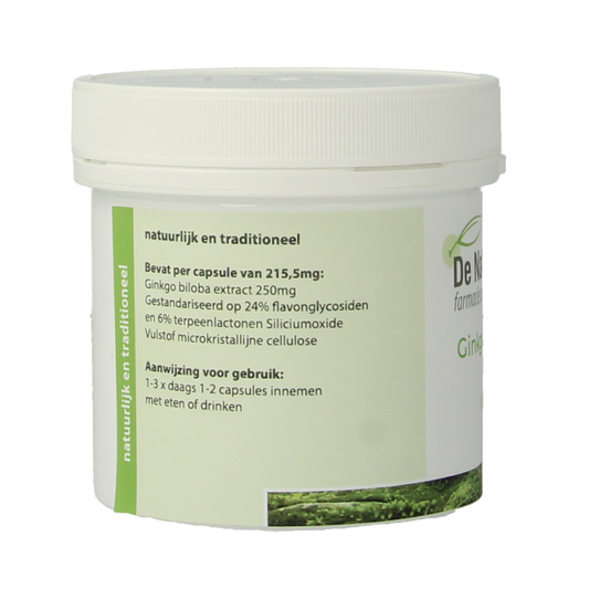 Natuurapotheek Ginkgo biloba 24% 250mg 100 Capsules
