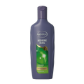Andrelon Shampoo iedere dag 300 Milliliter