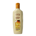 Andrelon Shampoo honing blond 300 Milliliter