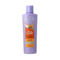 Andrelon Shampoo oil & care 250 Milliliter
