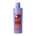 Andrelon Shampoo levendige kleur 250 Milliliter