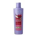 Andrelon Shampoo levendige kleur 250.00 Milliliter