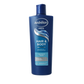 Andrelon Shampoo men hair & body 400 Milliliter