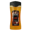 AXE Showergel copper santal  300 Milliliter