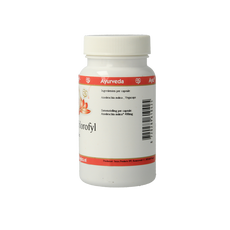 Ayurveda BR Ayu neem chlorofyl 60 Vegetarische capsules