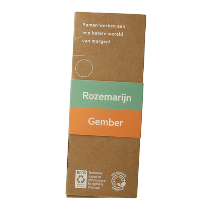 The Green Lab Co Handzeep premium starterset rozemarijn & gember 1.00 Set