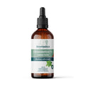 Aromedica Citroenmelisse 1:3 100.00 Milliliter